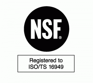 NSF_ISO-TS_16949_Logo.29861256_std